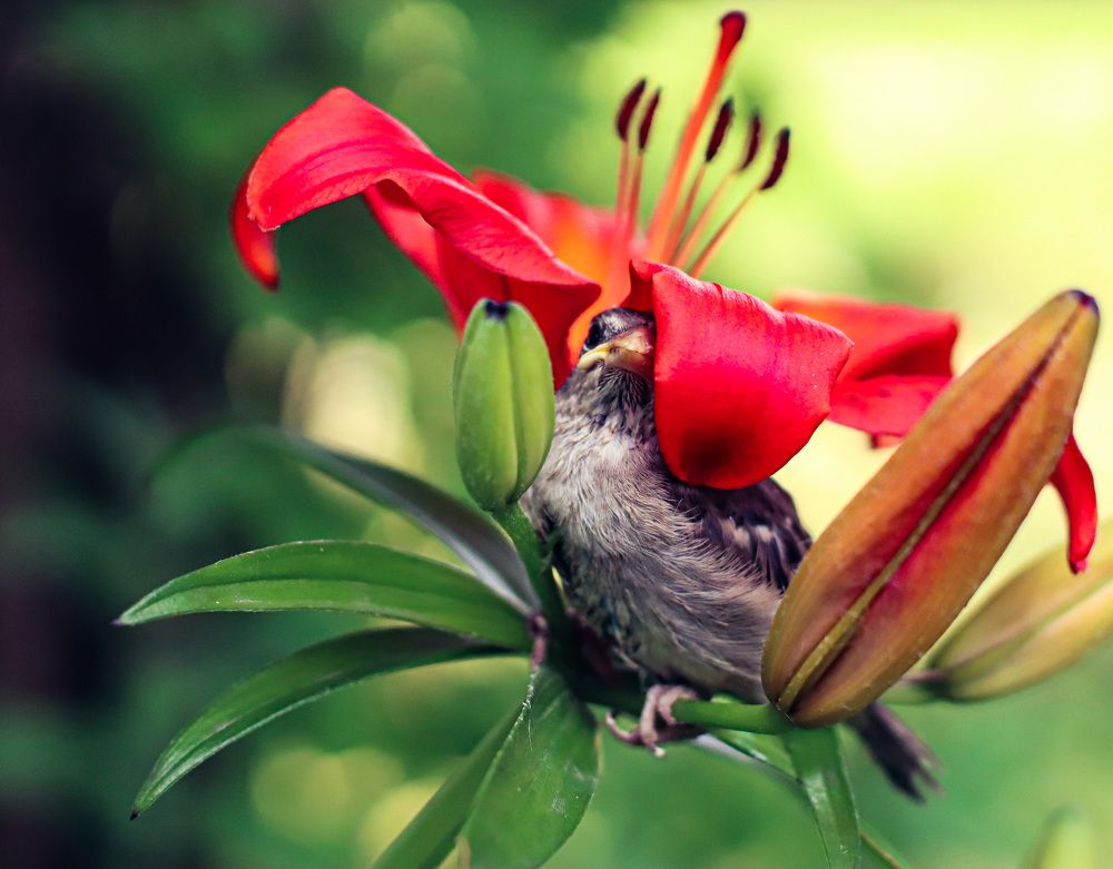 Photograph by Катя Филиппова