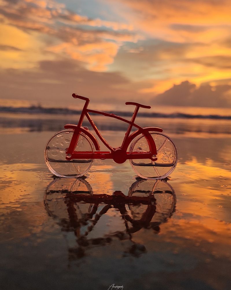 Фотография автора Irshad Alam