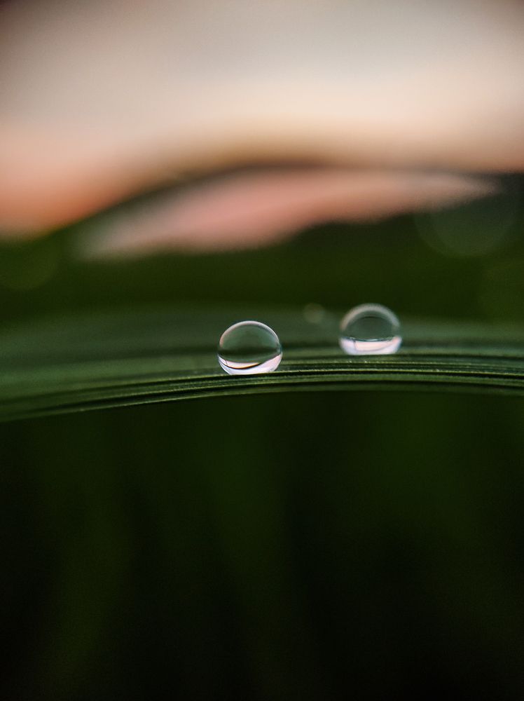 Фотография автора Irshad Alam