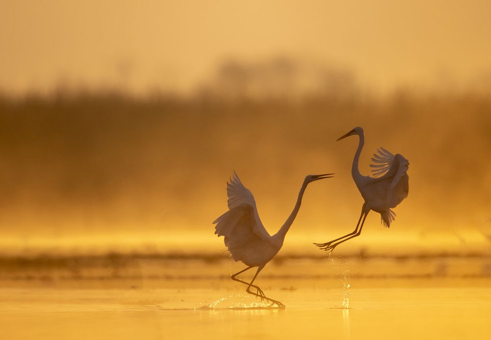 Photograph by Tahir Abbas