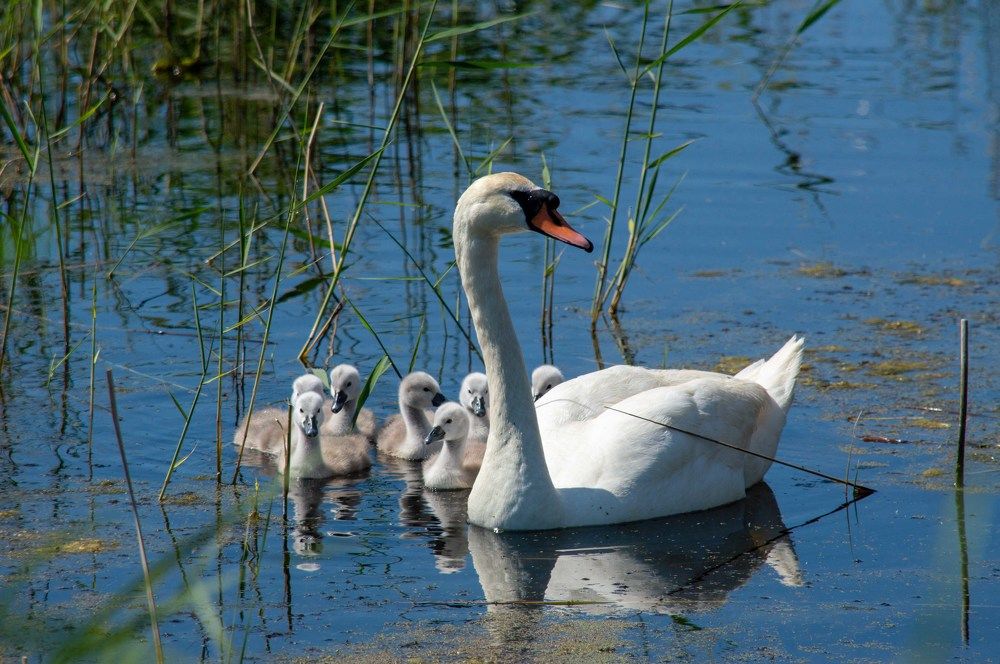 Photograph by Андрей Красников