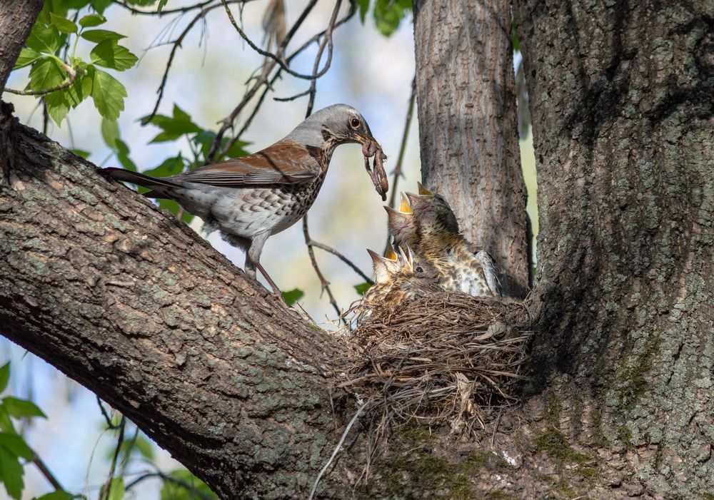 Photograph by Андрей Красников