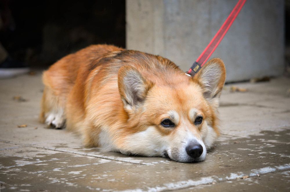 Photograph by Olga Mendosa