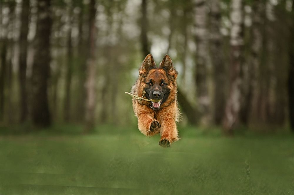 Photograph by Милана Бабченко