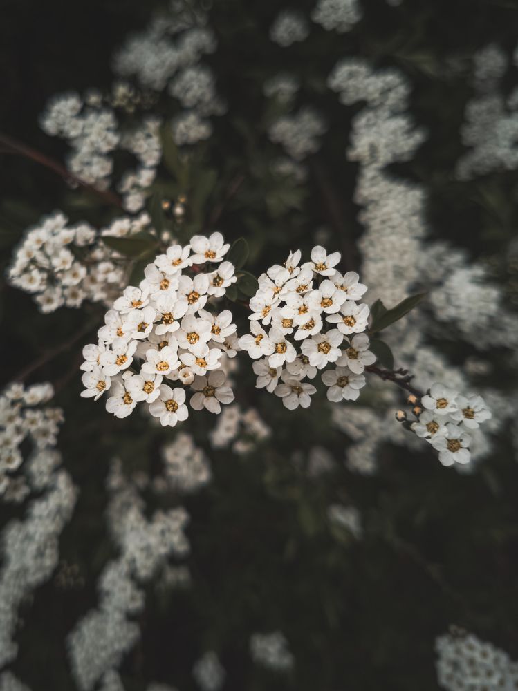 Photograph by Александр Безуглый