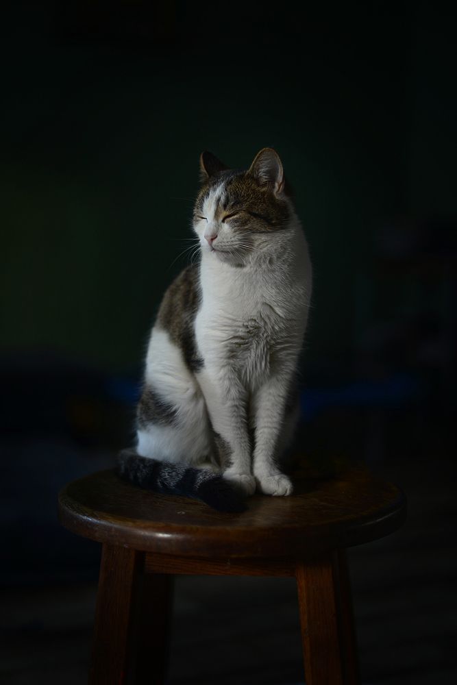 Photograph by Наталия Юрьевна