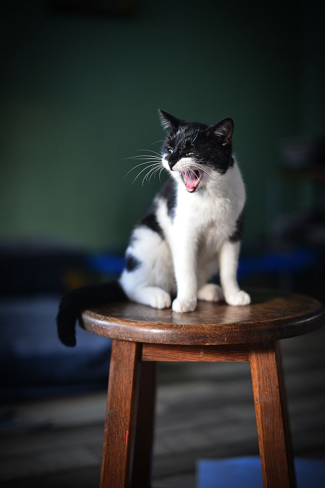 Photograph by Наталия Юрьевна