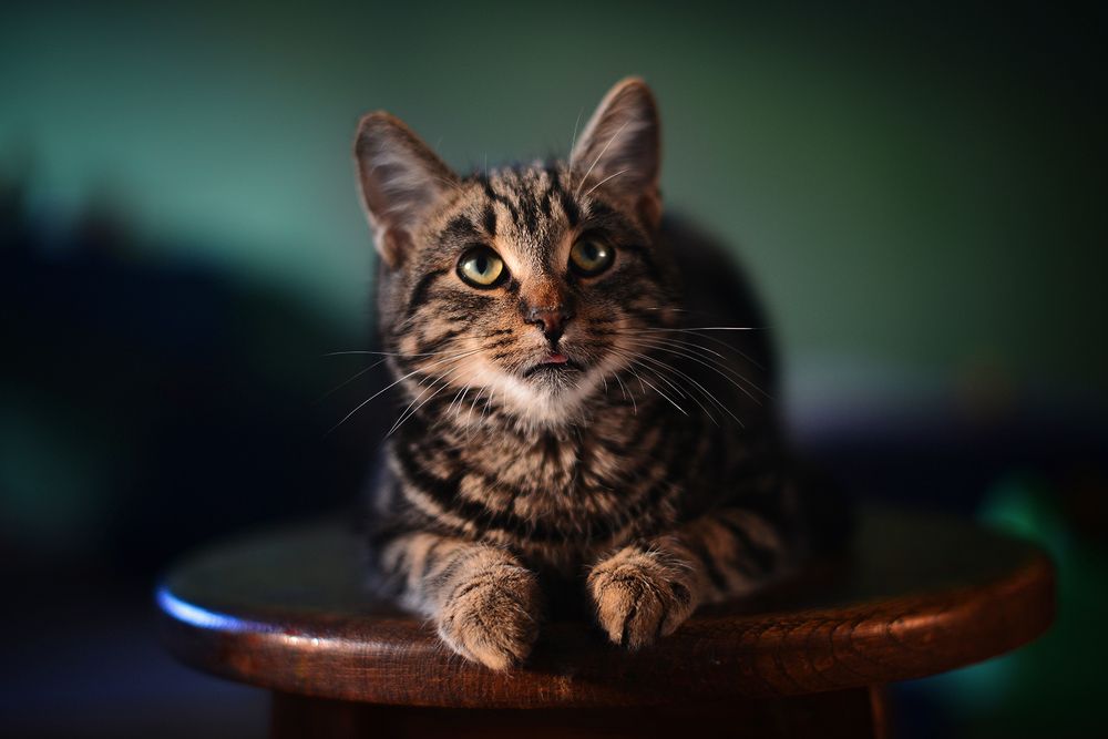 Photograph by Наталия Юрьевна