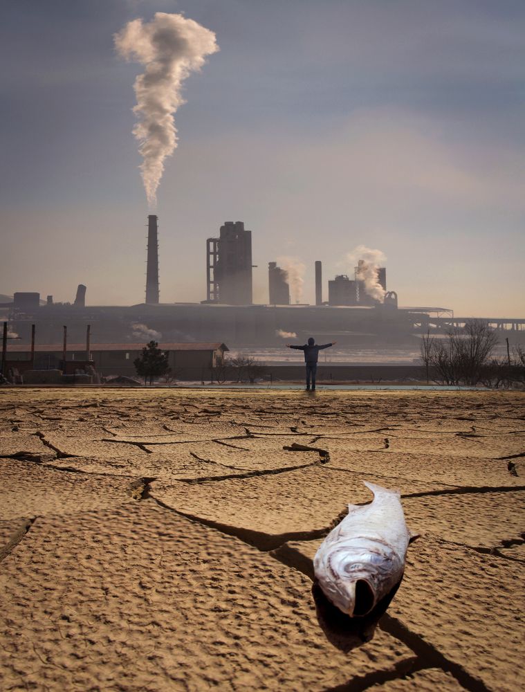 Фотография автора Hosein Davoodi