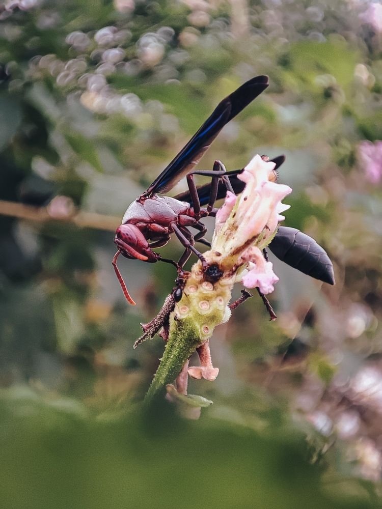 Photograph by Oshiame Tony Dolapo