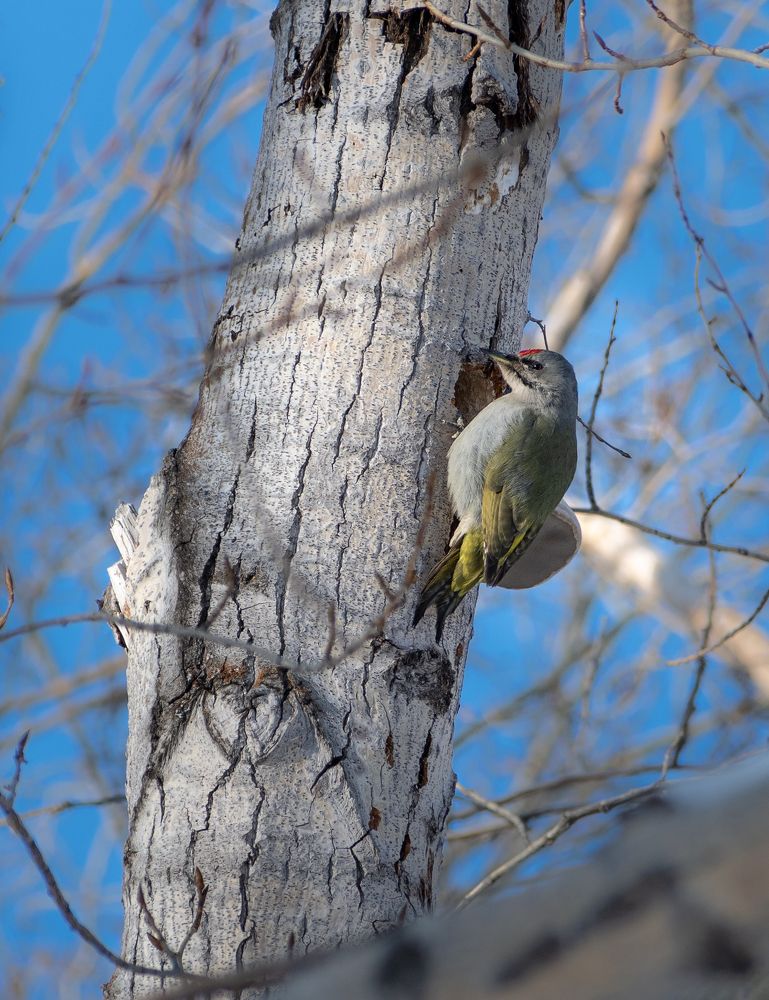 Photograph by Евгений Гецев