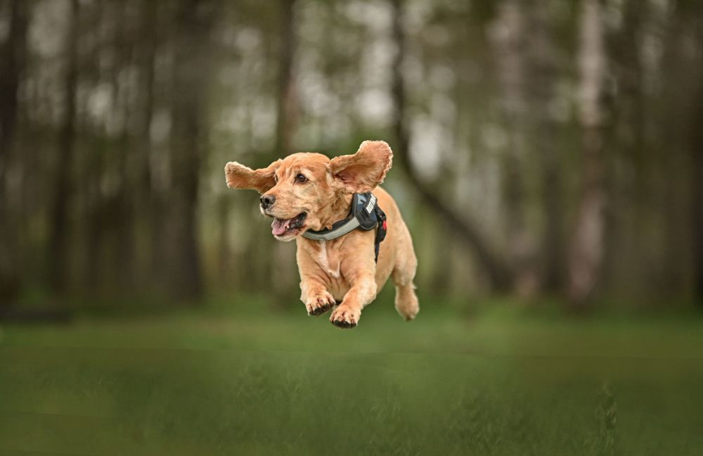 Photograph by Милана Бабченко