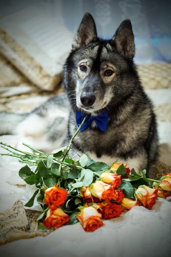 Photograph by Alin Ka