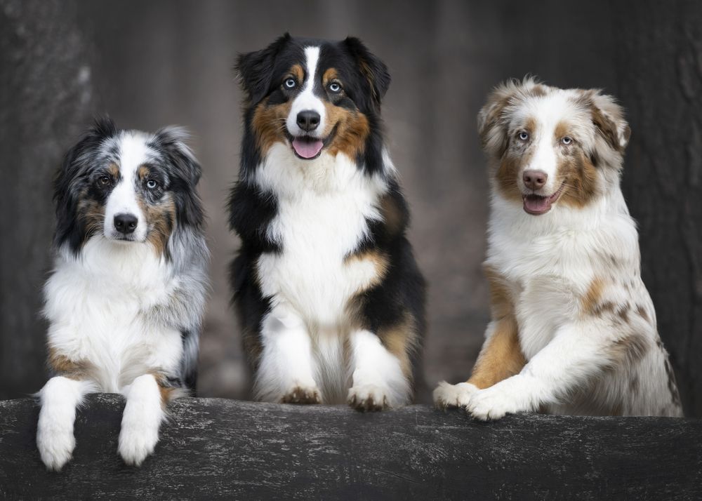 Photograph by Mike Kremer