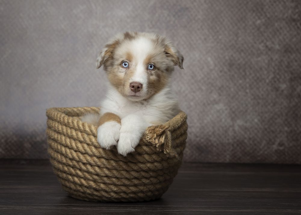 Photograph by Mike Kremer