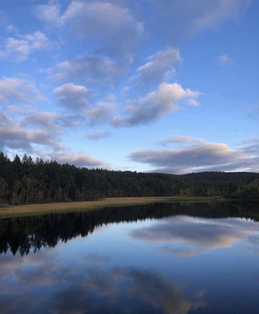 У красоты всегда есть отражение