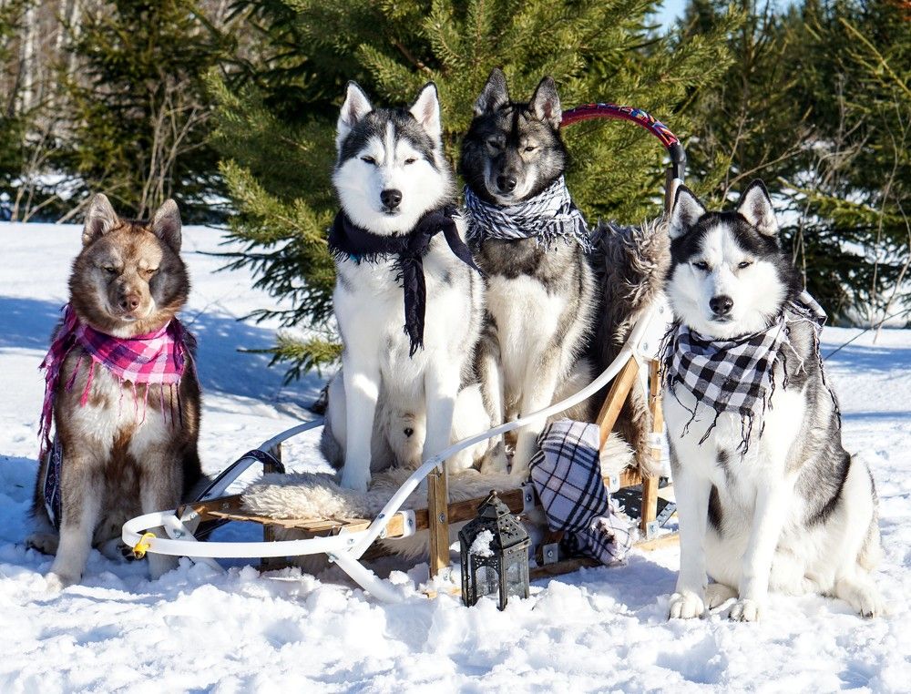 Photograph by Alin Ka