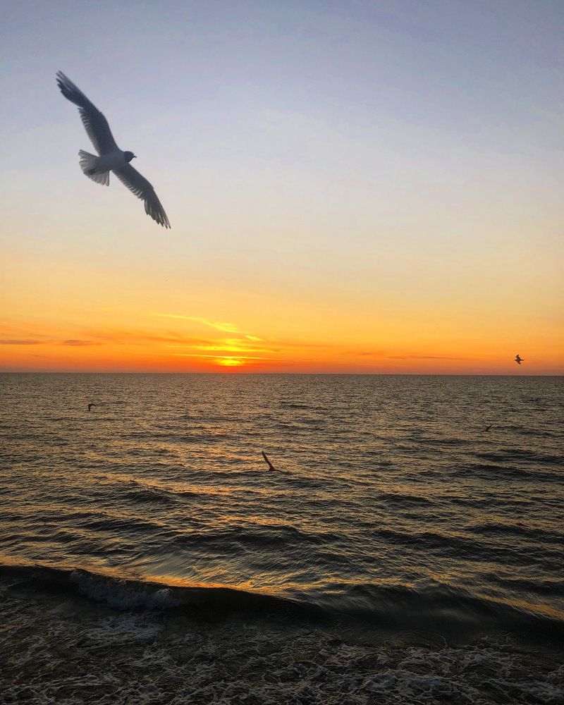 Photograph by Александра