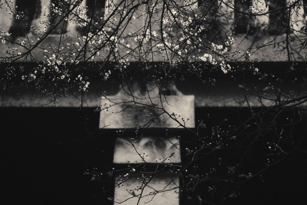 Photograph by Kondylenia Mpousmpoura