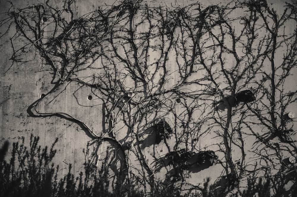 Photograph by Kondylenia Mpousmpoura