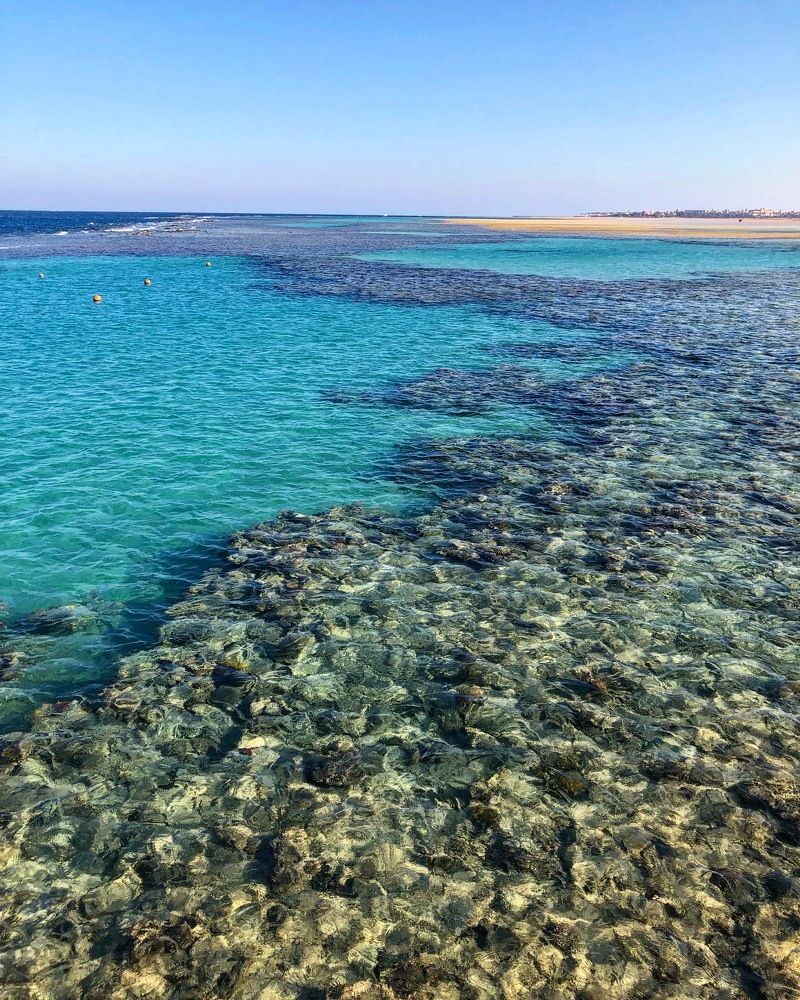 Photograph by Александра