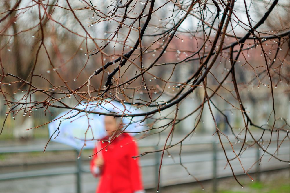 Photograph by Александр Бумагин