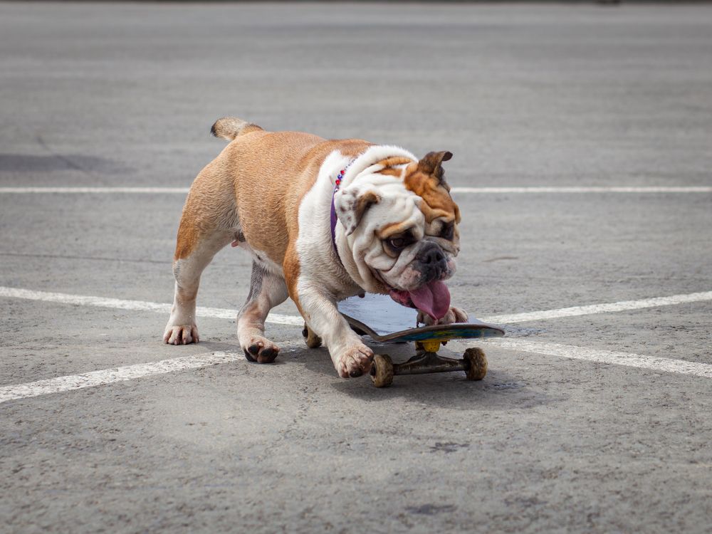 Photograph by Балакин Евгений