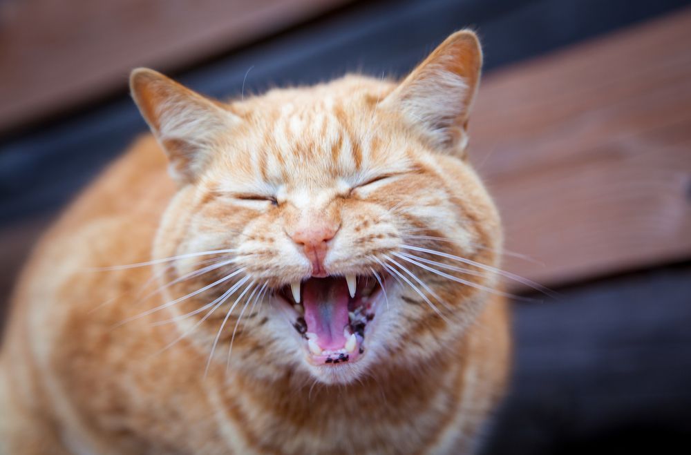 Photograph by Балакин Евгений