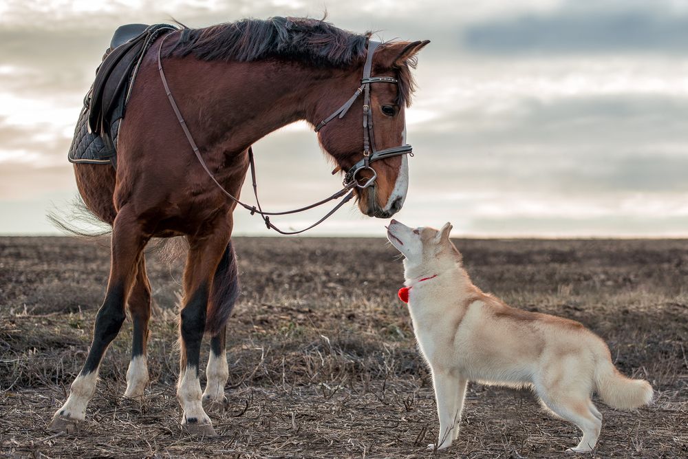 Photograph by Гера Восьмая