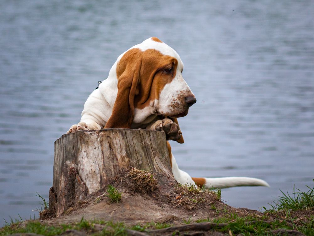 Photograph by Балакин Евгений