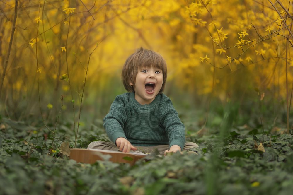 Photograph by Adi Kronkop