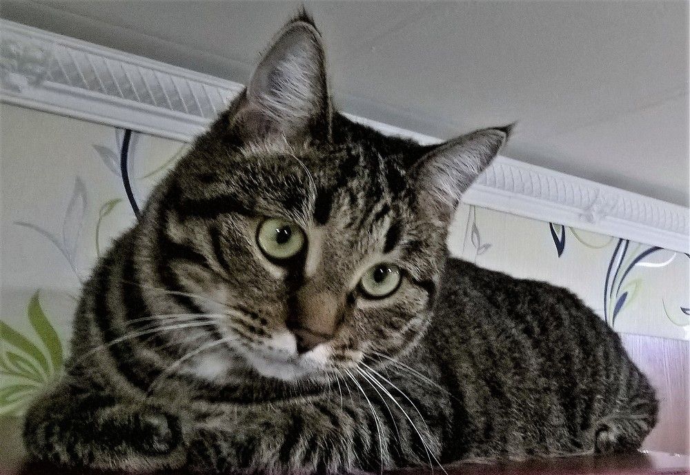 Photograph by Natalia Persidskaia