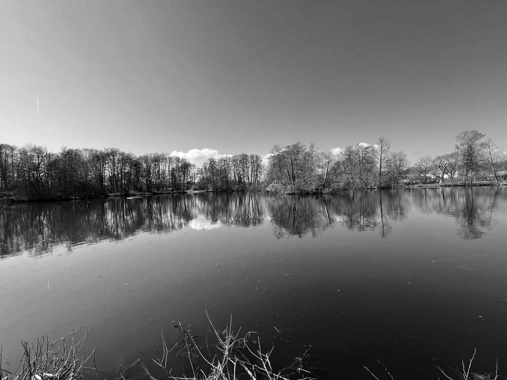 Photograph by Florentina-Adriana Vasilescu