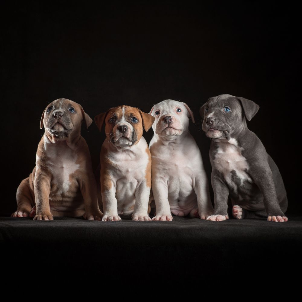 Фотография автора Гера Восьмая