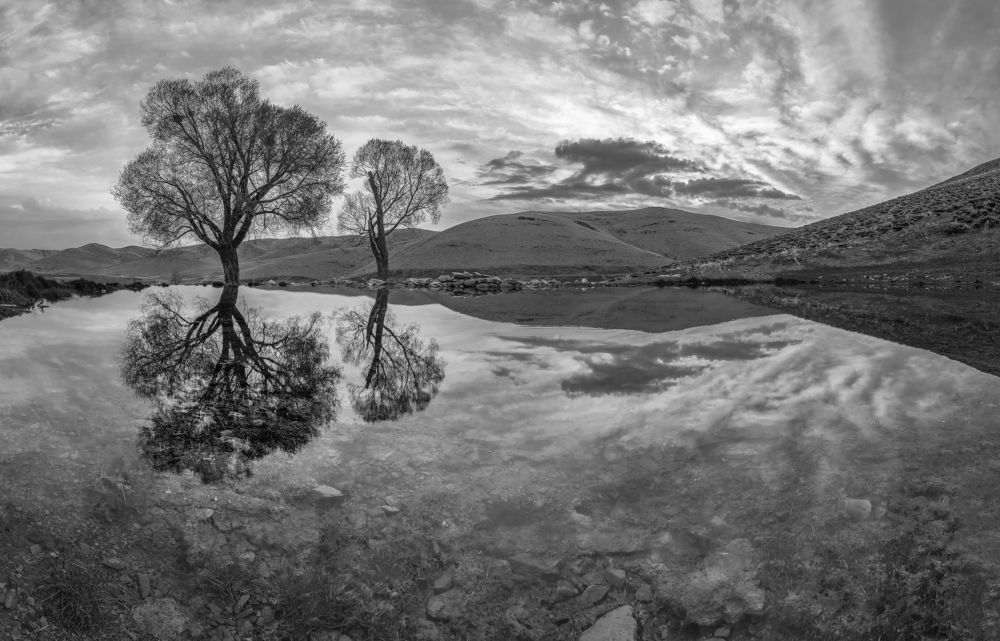 Photograph by majid arab