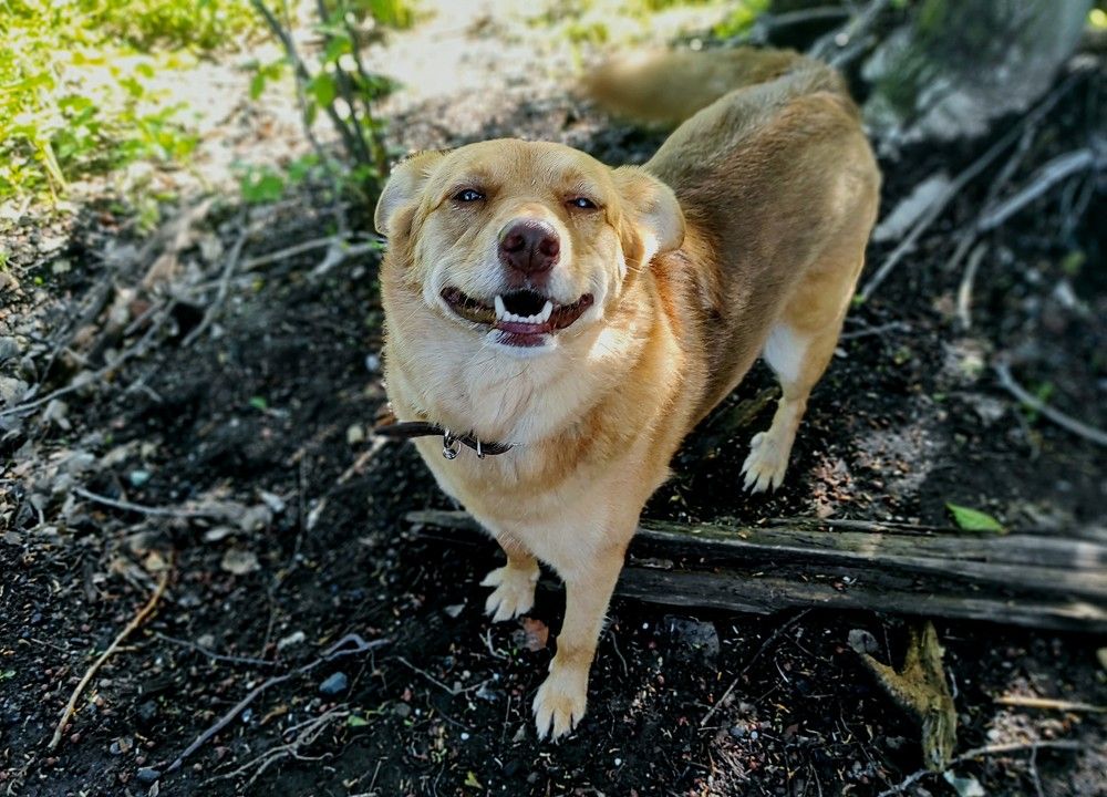 Photograph by Саттарова Ирина