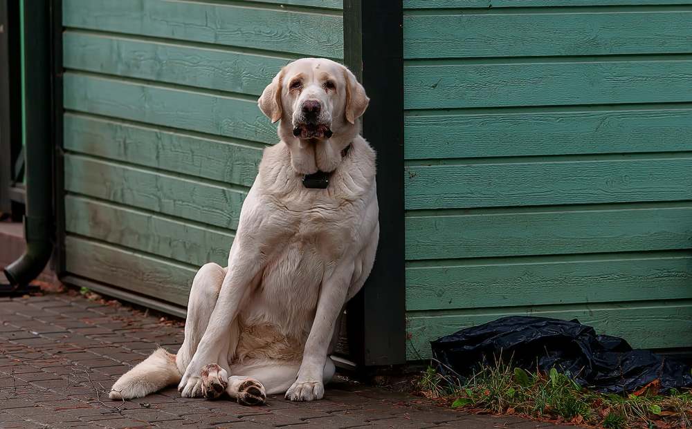 Photograph by yuri kutukov