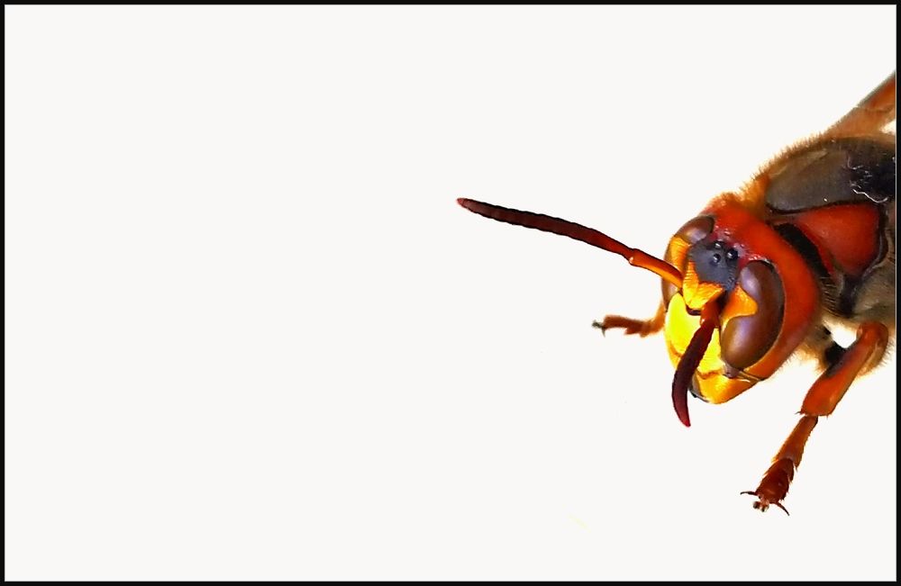 Photograph by Балакин Евгений