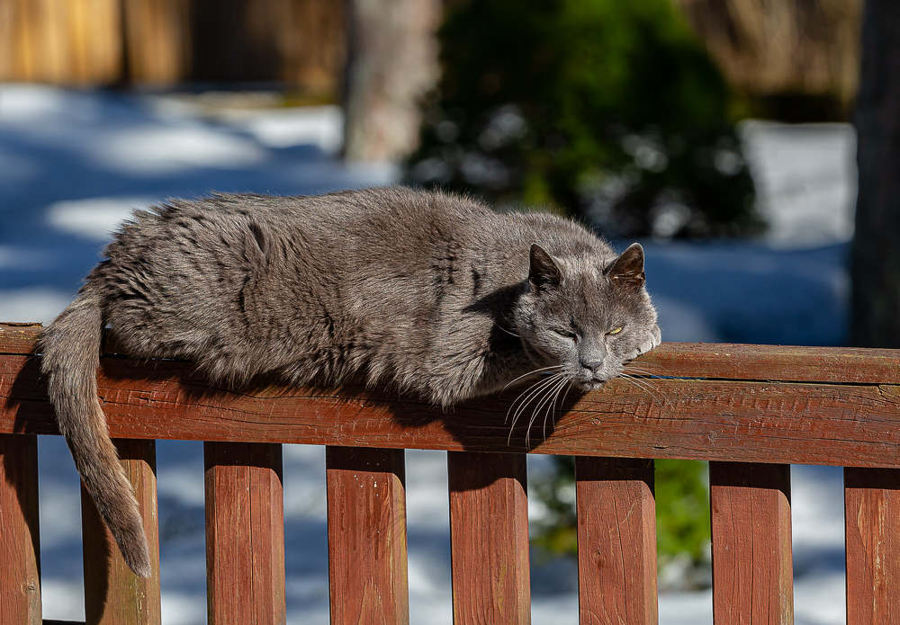 Photograph by yuri kutukov