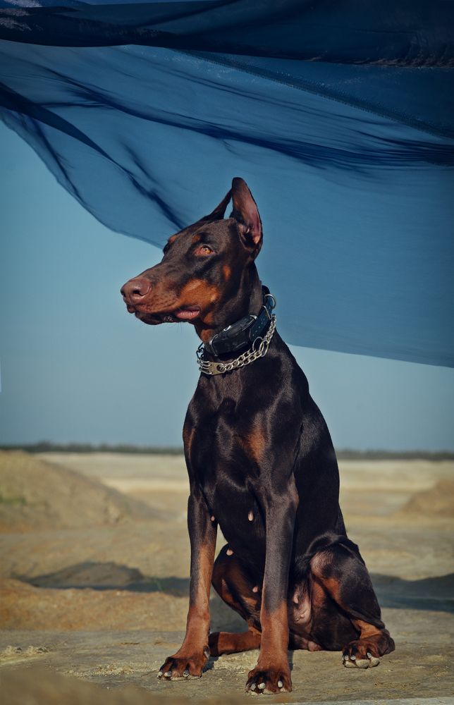 Photograph by Ольга Горбуличева