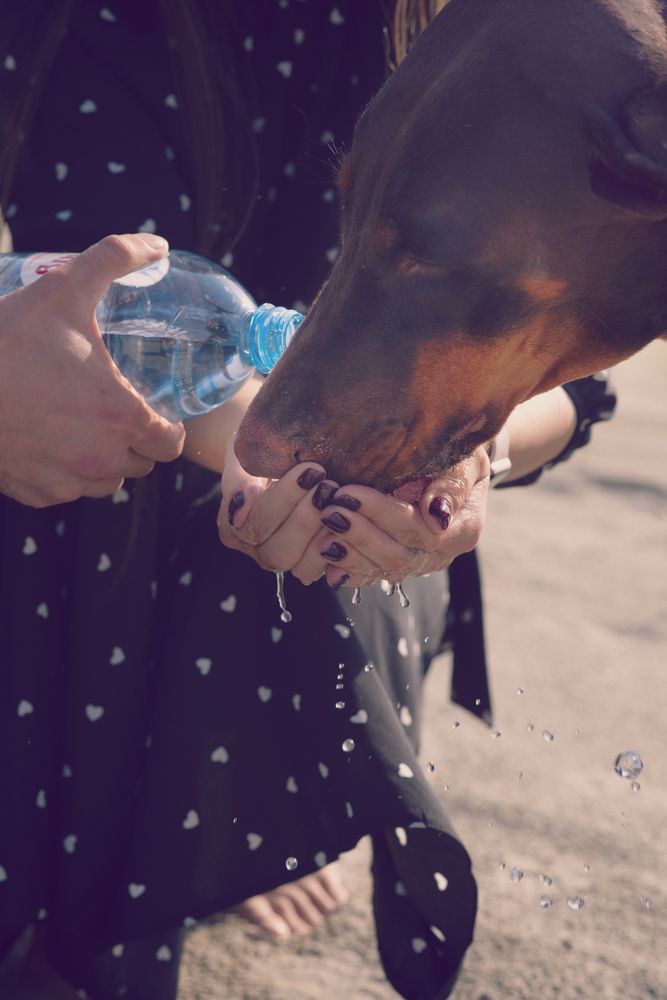 Photograph by Ольга Горбуличева