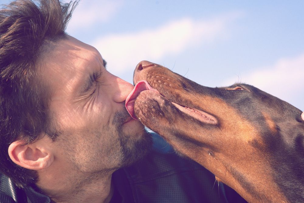 Photograph by Ольга Горбуличева