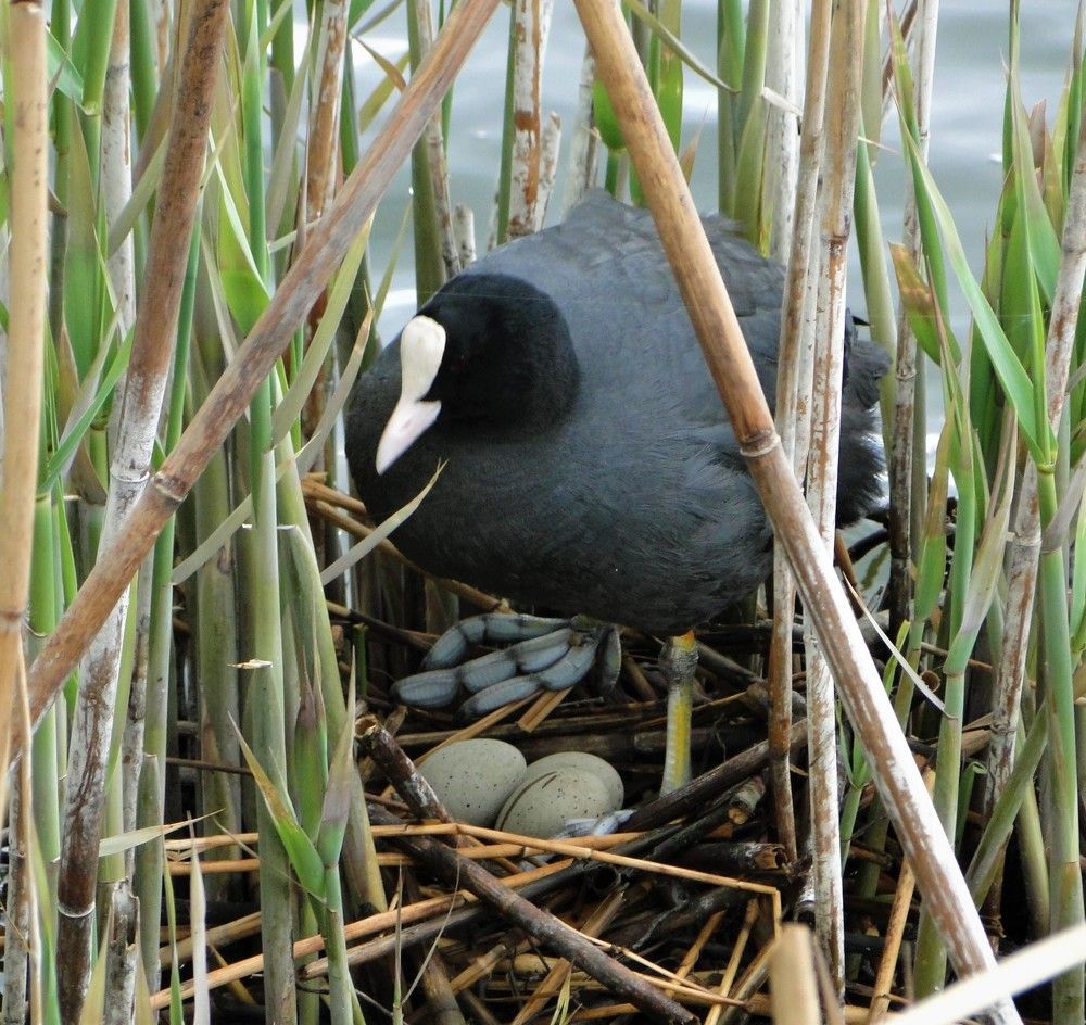 Photograph by Оксана Архипова