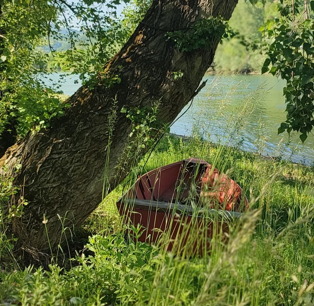 Photograph by Ljiljana Nedeljković