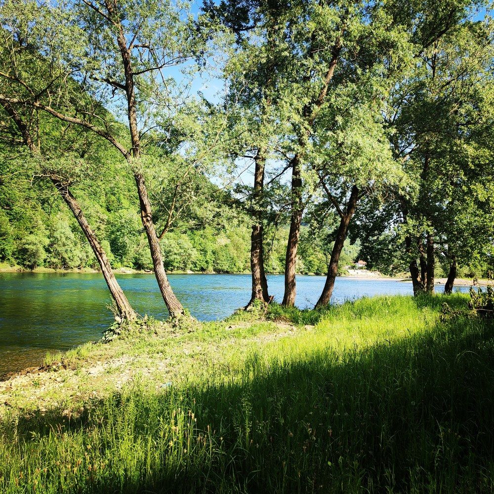 Photograph by Ljiljana Nedeljković