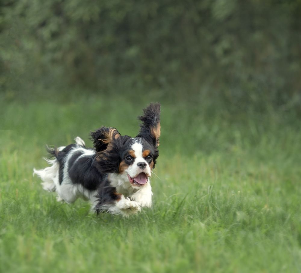 Photograph by Татьяна Кауфман