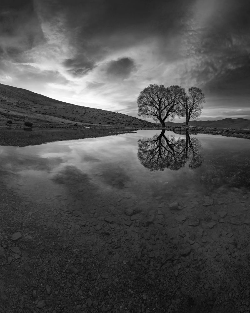 Фотография автора majid arab