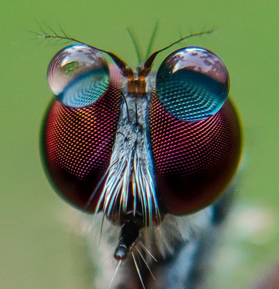 Photograph by Ajeesh A