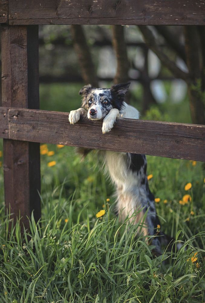 Приди ко мне.