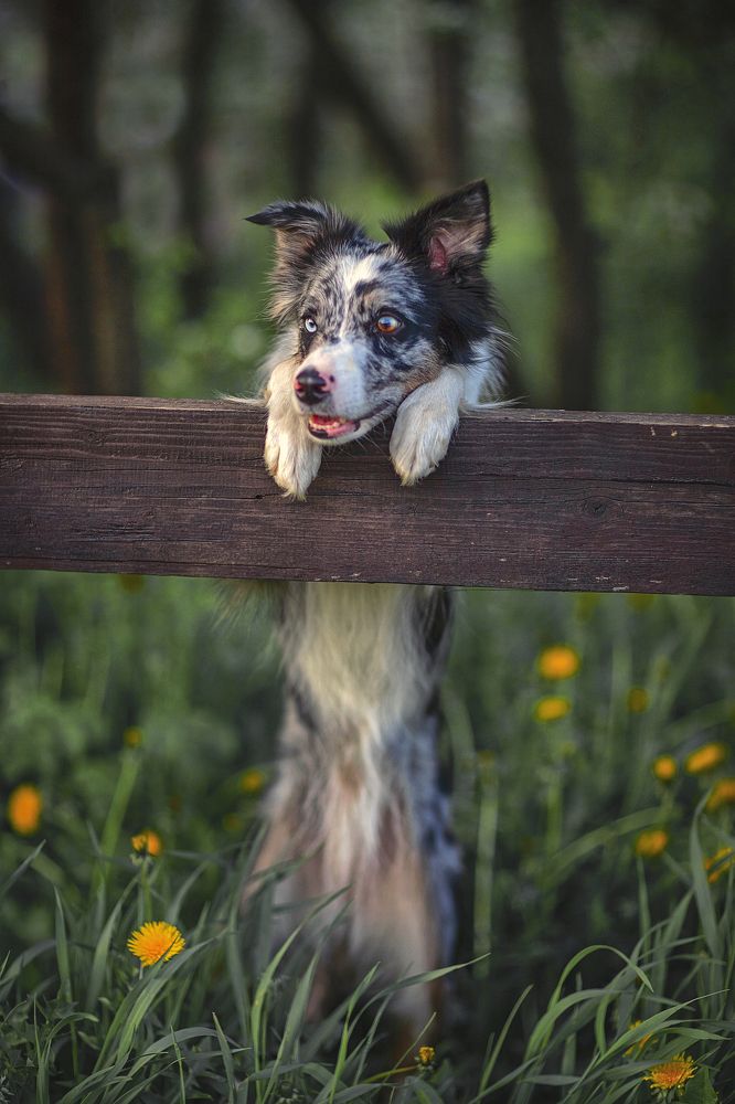 Мои глаза разные.